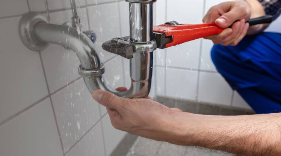 Professional Leak Detection services in Blue, AZ
